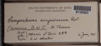 Image Associated With the Occurence